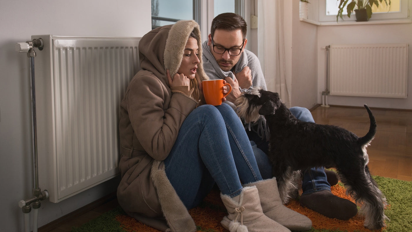 Couple in warm clothing sitting beside radiators with their dog, suggesting a cold home.