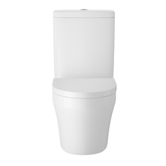 Flush to Wall WC and Seat