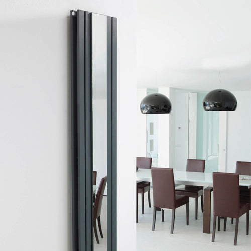 Anthracite Oval Style Double Panel Vertical Radiator With Mirror H1800 W381